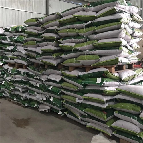 Factory supply High quality Bahiagrass seeds for planting - Image 1