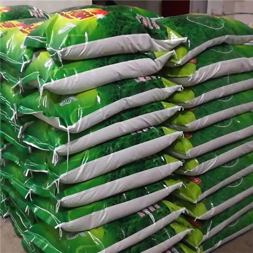 Factory supply High quality Bahiagrass seeds for planting 